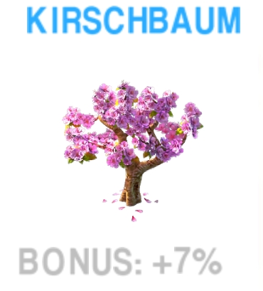 Kirschbaum             